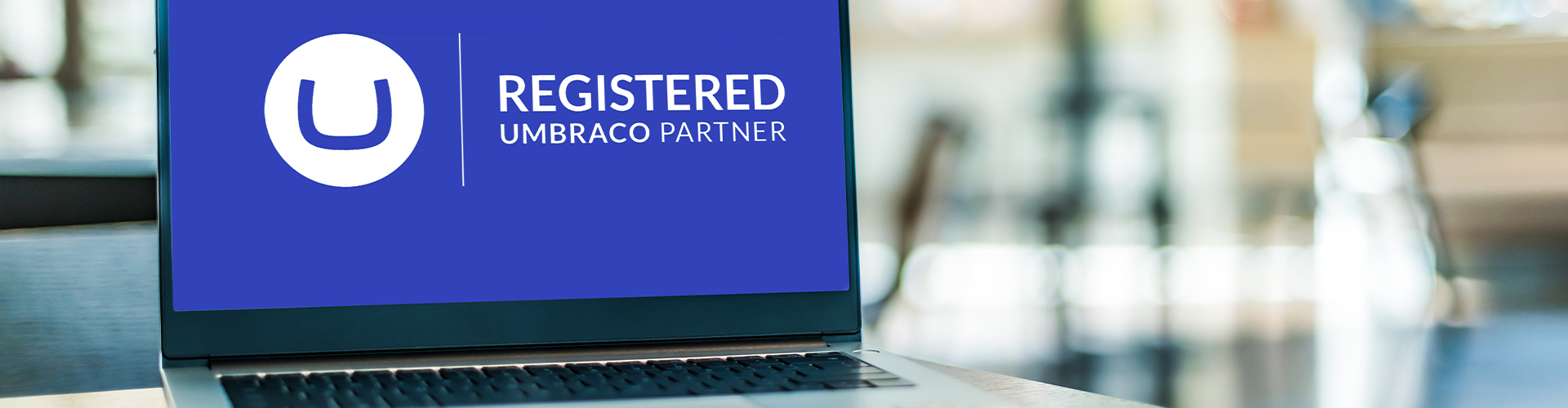 Why Umbraco is the CMS solution to make your business understandable