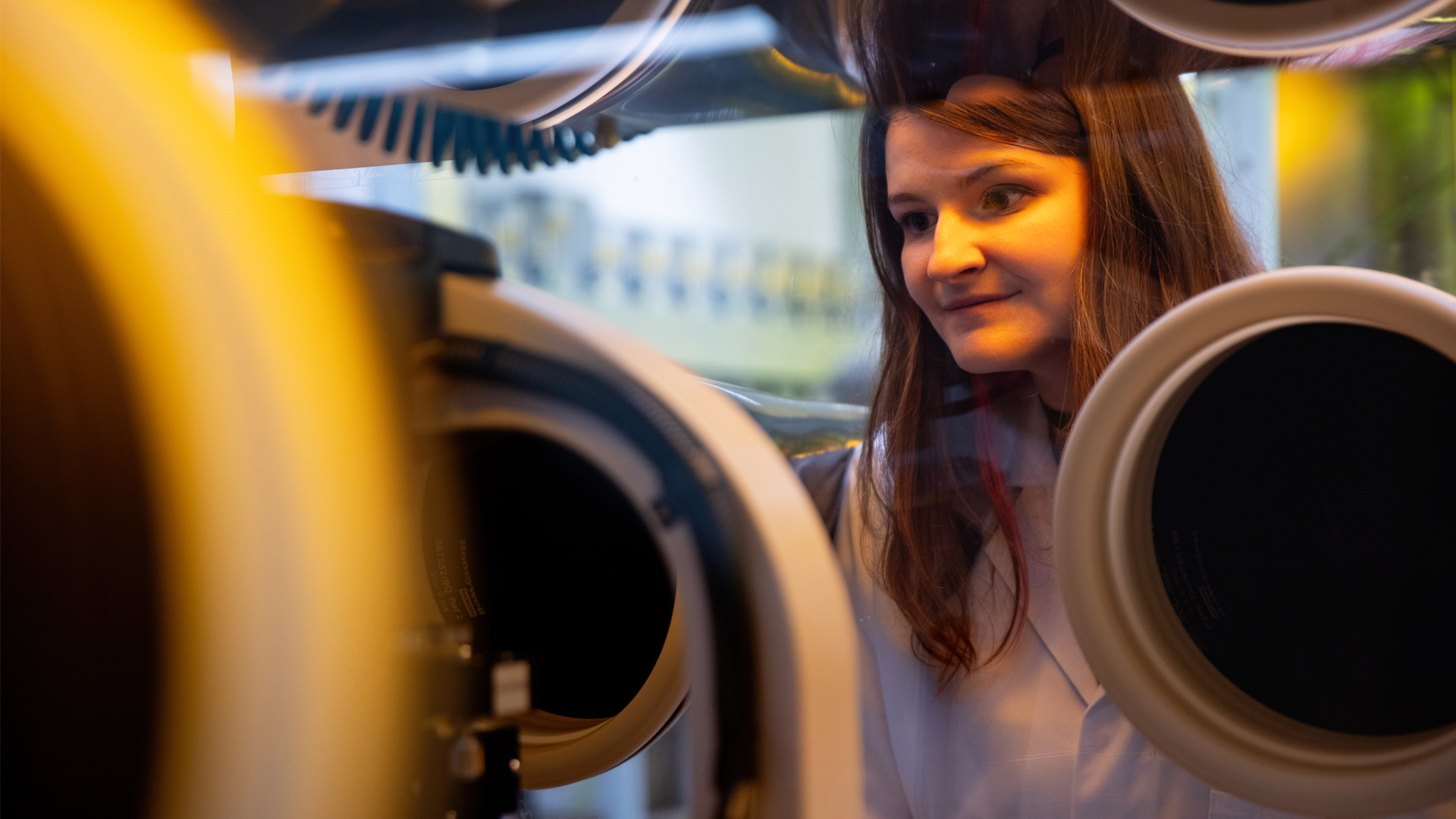 University of Cambridge