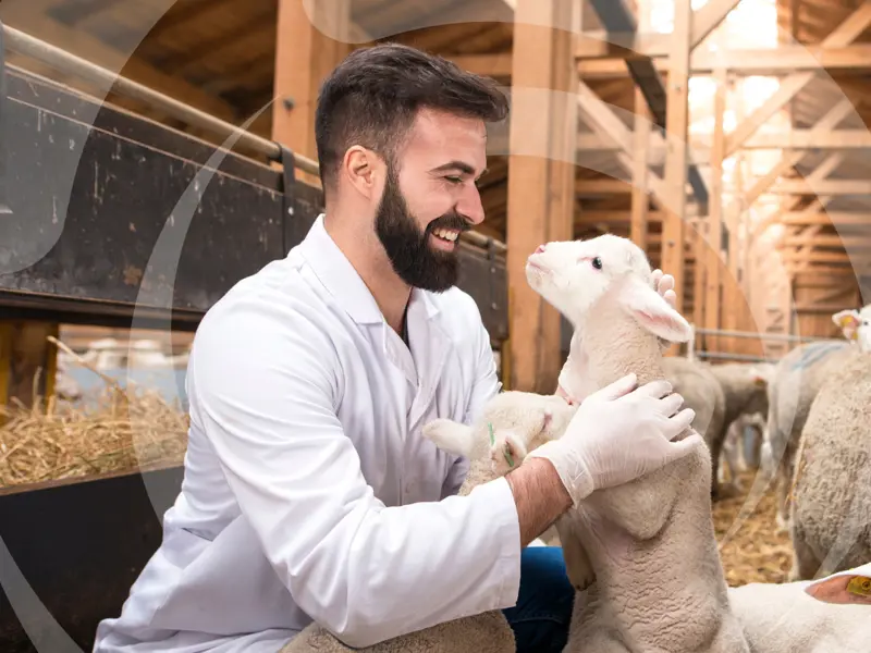 Animalcare Group